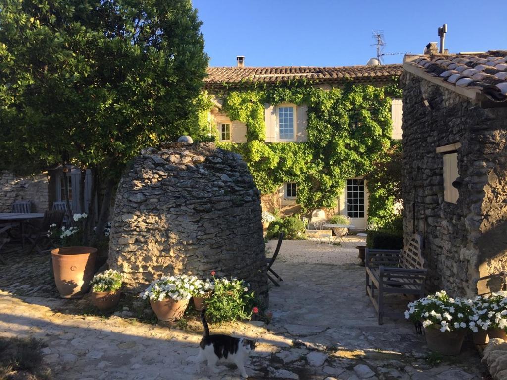 Le Mas Du Lavoir Gordes Bagian luar foto